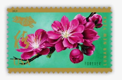 Year Of The Boar Stamp Greets Lunar New Year - Forever Stamps Floral, HD Png Download, Transparent PNG