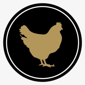 Medallions-black3, HD Png Download, Transparent PNG