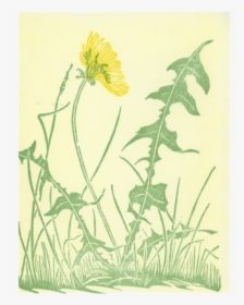 Dandelion Block Print, HD Png Download, Transparent PNG