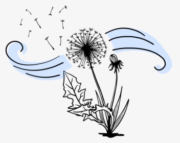 Dandelion - Illustration, HD Png Download, Transparent PNG