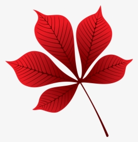 Осенние Листья Каштан, HD Png Download, Transparent PNG