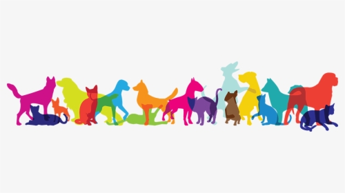 Multicolor Pets - Cartoon, HD Png Download, Transparent PNG