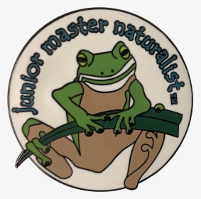 Wood Frog, HD Png Download, Transparent PNG