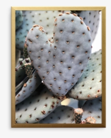 Cactus Hearts Art Print - Barbary Fig, HD Png Download, Transparent PNG