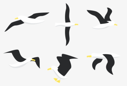 Flying Seagull Drawing - Albatros Logo, HD Png Download, Transparent PNG