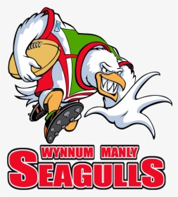 Logopedia - Wynnum Manly Seagulls Logo, HD Png Download, Transparent PNG