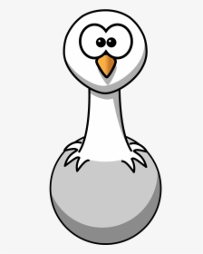 Ostrich Clipart Black And White, HD Png Download, Transparent PNG