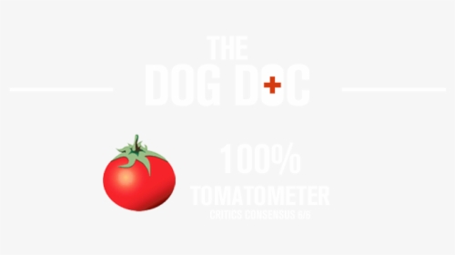 Rotten Tomatoes - Cherry Tomatoes, HD Png Download, Transparent PNG