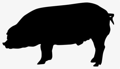 Duroc Pig Silhouette, HD Png Download, Transparent PNG