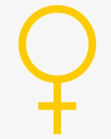 Female Symbol Color Colour Tangerine Yellow Xochi - Copyright, HD Png Download, Transparent PNG