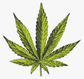 What Makes Cannabis So Effective - Marijuana Leaf, HD Png Download, Transparent PNG