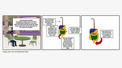 Cartoon, HD Png Download, Transparent PNG