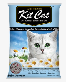 Kit Kat Cat Litter, HD Png Download, Transparent PNG