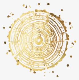 Amber Lyda - Circle, HD Png Download, Transparent PNG