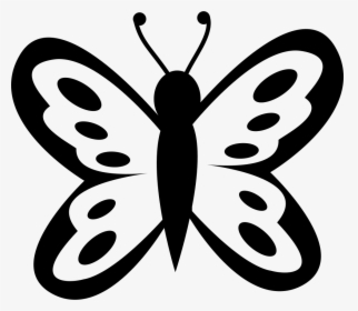 Butterfly With Spots On Wings From Top View - Mariposa Con Manchas, HD Png Download, Transparent PNG