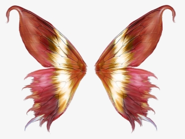 Butterfly Wings Png Clipart , Png Download - Butterfly Wings Vector Png, Transparent Png, Transparent PNG