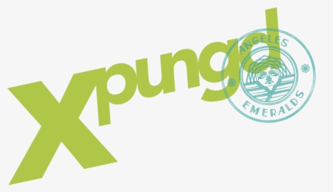 Xpungd - Graphic Design, HD Png Download, Transparent PNG