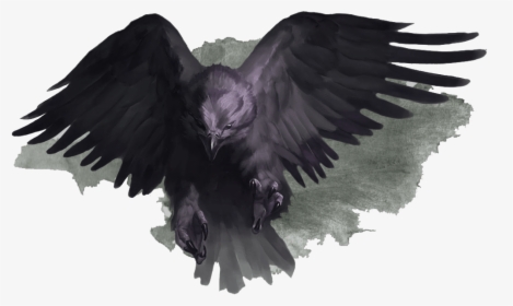 Bird Of Prey, HD Png Download, Transparent PNG