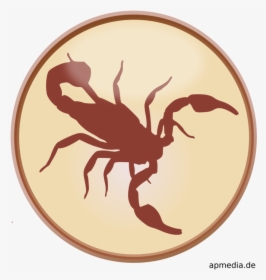 Scorpione Segno Zodiacale Stilizzato, HD Png Download, Transparent PNG