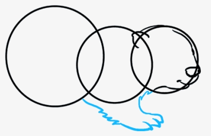 How To Draw Beaver - Circle, HD Png Download, Transparent PNG