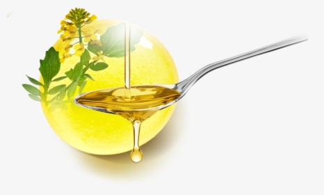 Healthiest Cooking Oils, HD Png Download, Transparent PNG