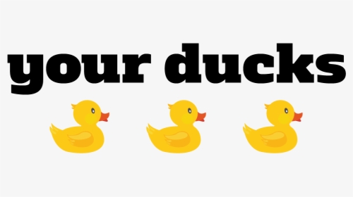 Png In A Transparent - Duck, Png Download, Transparent PNG