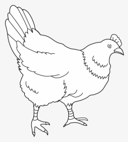 Drawing Clipart Hen - 8 Hens Black And White Clipart, HD Png Download, Transparent PNG