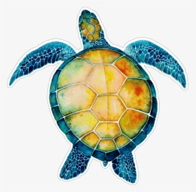 Turtle Rainbow Art, HD Png Download, Transparent PNG