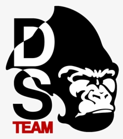 Picture - Team Ds, HD Png Download, Transparent PNG