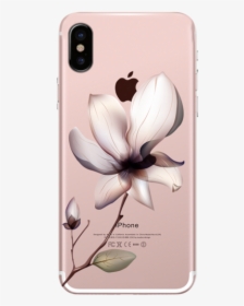 Spring Flower, HD Png Download, Transparent PNG