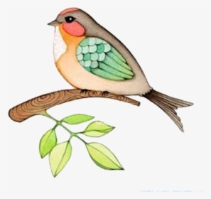 Washington State Bird Drawing - Bird Water Color Cartoon, HD Png Download, Transparent PNG
