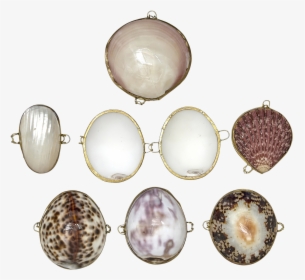 Coin Purses-seashell Assorted - Gemstone, HD Png Download, Transparent PNG