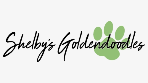Shelby S Goldendoodles - Calligraphy, HD Png Download, Transparent PNG