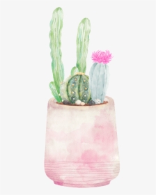 Hand-painted Three Varieties Of Cactus Png Transparent - San Pedro Cactus, Png Download, Transparent PNG