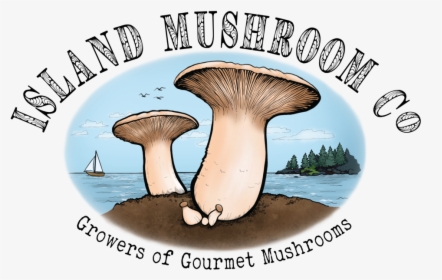 Website Logo - Mushrooms Company, HD Png Download, Transparent PNG