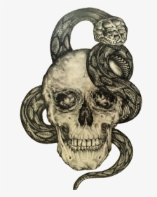 Snake And Skull, HD Png Download, Transparent PNG