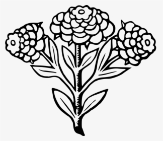 Line Art,plant,flora - Illustration, HD Png Download, Transparent PNG