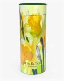 Narcissus, HD Png Download, Transparent PNG