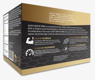 Brochure, HD Png Download, Transparent PNG