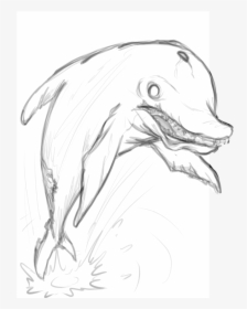 Daily Sketch - Pink Dolphin Line Drawings, HD Png Download, Transparent PNG