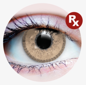 Primal® Rx Charm Chestnut   Class - Loki Contacts, HD Png Download, Transparent PNG