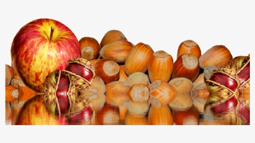 Canvas Print Autumn Apple October Buckeye Chestnut - Apple, HD Png Download, Transparent PNG
