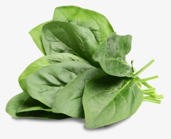 Spinach Rabbit, HD Png Download, Transparent PNG