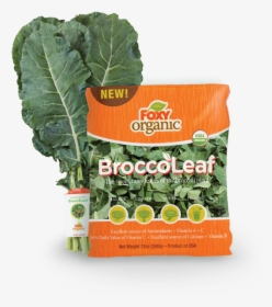 Foxy Organic Broccoleaf, HD Png Download, Transparent PNG