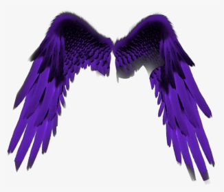 #purplewings #purple #wing #wings #purpleangelwings, HD Png Download ...