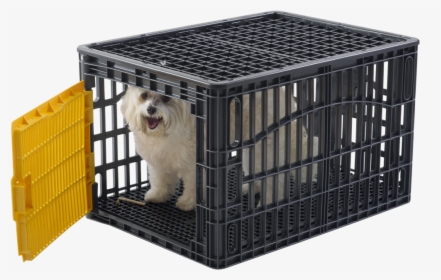 rural king dog crate