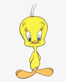 Looney Tunes Character Tweety - Cartoon Character Space Jam, HD Png Download, Transparent PNG