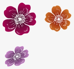 Three Wild Roses Clipart, HD Png Download, Transparent PNG
