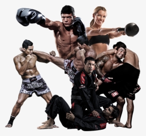 Transparent Fight Png - Mixed Martial Arts Png, Png Download, Transparent PNG
