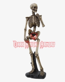 Skeleton Arms Png - Posed Skeleton, Transparent Png, Transparent PNG